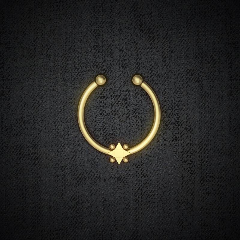 Gefälschter Septumring Aus Chirurgenstahl. Nasenmanschette. Falsches Nasenpiercing. Künstlicher Nasenring. Septummanschette. Fake-Piercing von Juniqum