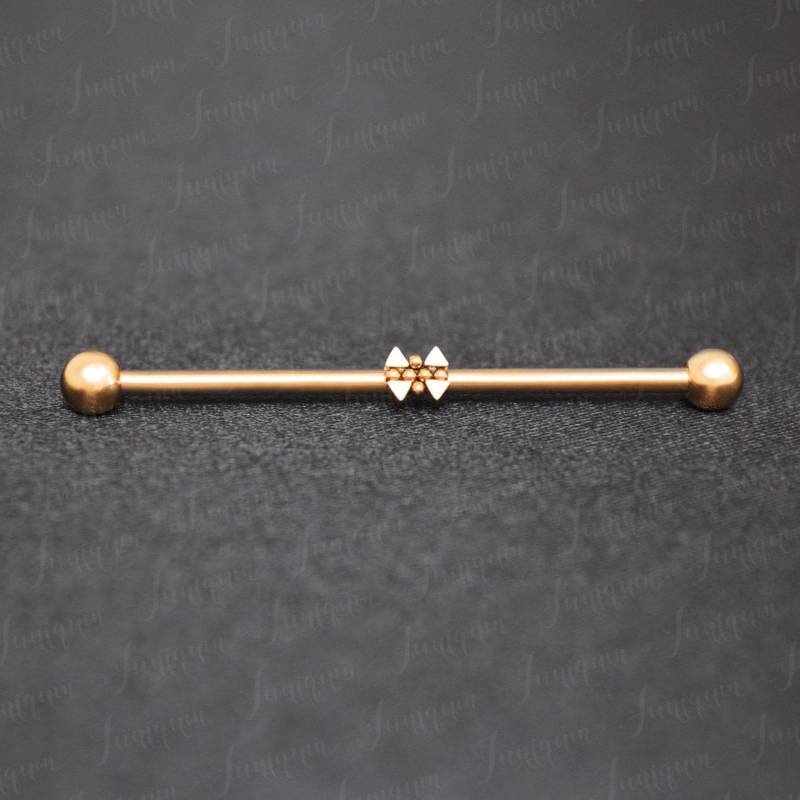 Chirurgenstahl Industrial Barbell 14G. Gerüst Ohrring. Gerades Barbell-Piercing. Industrielles Piercing Schmuck. Industrielle Bar Ohrringe von Juniqum