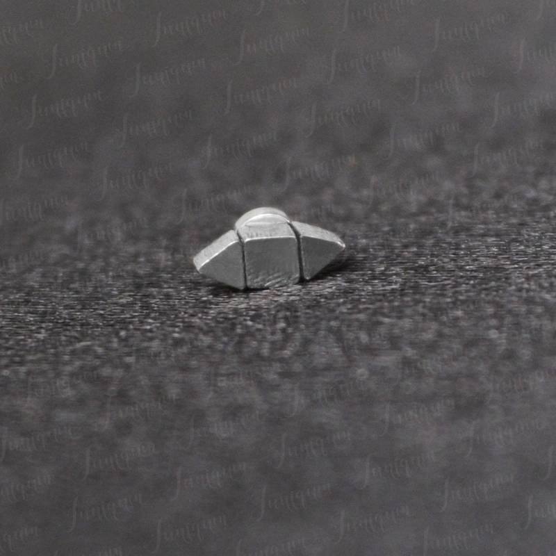 Dermal Top Aus Chirurgenstahl. Dermaler Schmuck. Ein Dermal-Piercing. Anchor Top. Körper-Piercing von Juniqum