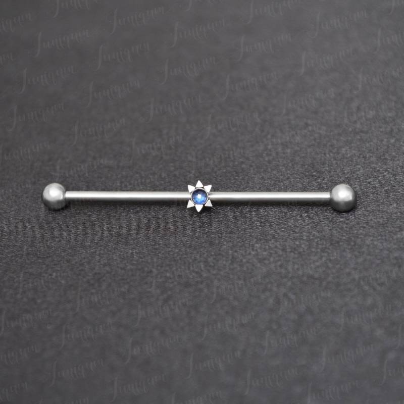 Industrielle Langhantel Aus Chirurgenstahl. Industrieller Piercingschmuck. Gerüsthantel 14G. Gerades Langhantelpiercing. Stabohrring von Juniqum