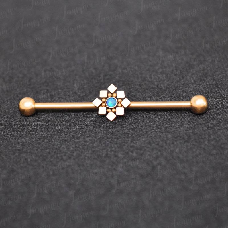 Industrieller Piercing-Ohrring. Langhantelpiercing Aus Chirurgenstahl 14G. Industrielle Langhantel 32 Mm 35 38 50 Mm. Industrielles Schmuckpiercing von Juniqum