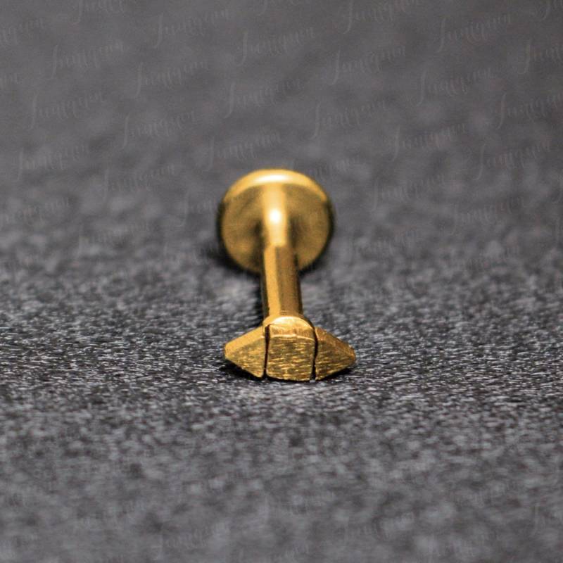 Lippen Piercing Ohrstecker. Philtrum Schmuck. Labradorit Ohrstecker Aus Chirurgenstahl. Medusa Monroe Lippenring. Flache Rückseite Ohrring Gold von Juniqum