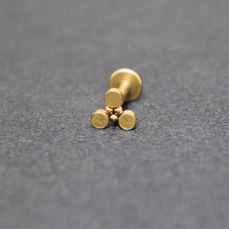 Philtrum-Piercing. Medusa-Labret. Monroe-Piercing-Schmuck. Lippenring-Ohrstecker. Labret-Ohrstecker. Labret Mit Innengewinde. Lippenohrring Gold von Juniqum
