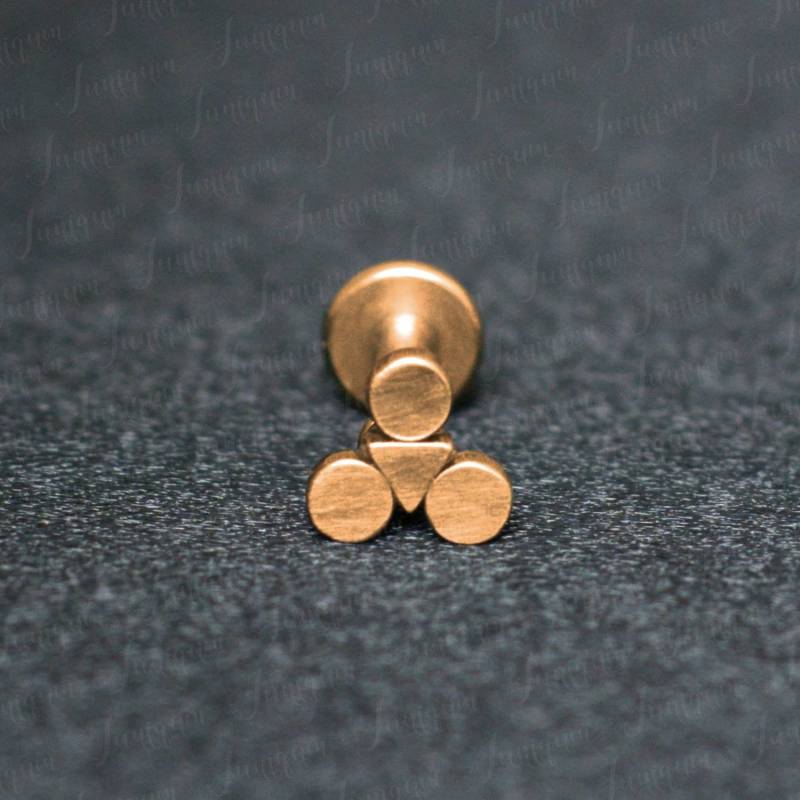 Tragus-Piercing-Schmuck. Vorwärtshelix-Ohrring. Conch-Piercing. Knorpel-Ohrstecker. Ohrring Mit Flacher Rückseite Aus Chirurgenstahl. Labret-Ohrring von Juniqum