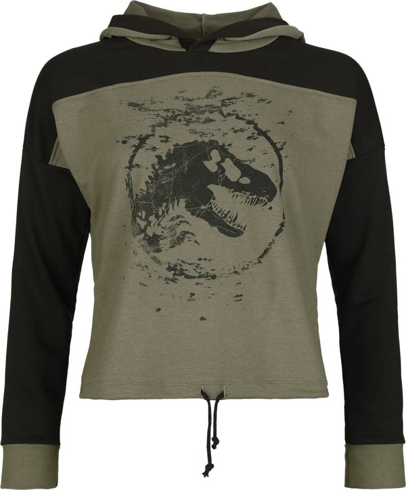 Jurassic Park Jurassic World - Reflections Kapuzenpullover grün schwarz in S von Jurassic Park