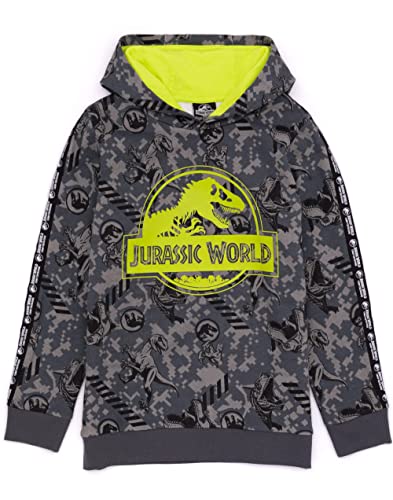 Jurassic World Hoodie Kinder Jungen Camp Cretaceous T Rex Grey Pullover 5-6 Jahre von Jurassic World