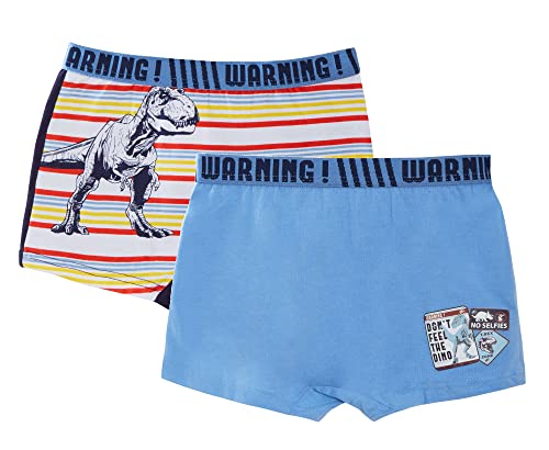 Jurassic World Jungen-Boxershorts, 2er-Pack, Dinosaurier-Unterwäsche, Kinder-Slips, Kinder-Unterhosen, 2 Paar von Jurassic World