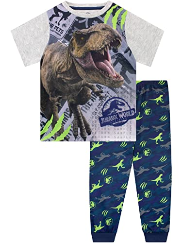 Jurassic World Jungen Dinosaurier Pyjamas Kinder T-Rex Pyjama Set Kurzarm Mehrfarbig 134 von Jurassic World