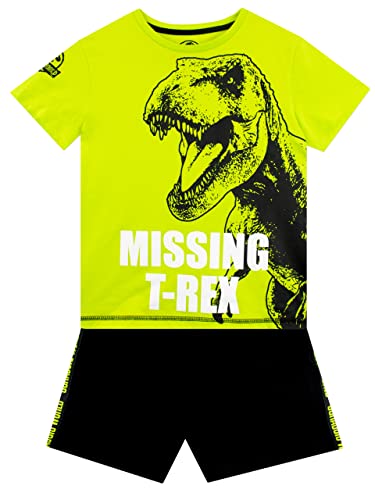 Jurassic World Jungen T-Shirt und Shorts Set Dinosaurier Outfit-Set für Kinder Mehrfarbig 158 von Jurassic World