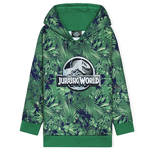 Jurassic World Kapuzenpullover Kinder Jungen und Mädchen Dinosaurier Hoodie Teenager (11-12 Jahre, Grün) von Jurassic World