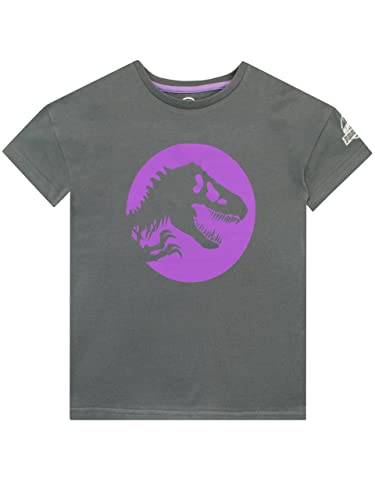 Jurassic World Mädchen T-Shirt Grau 116 von Jurassic World