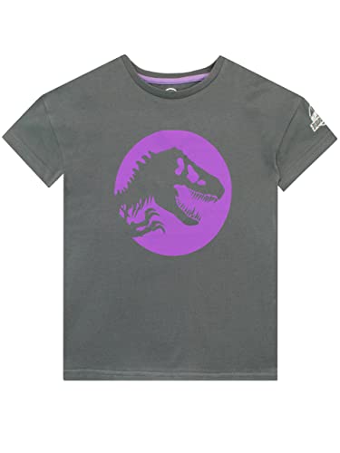 Jurassic World Mädchen T-Shirt Grau 122 von Jurassic World