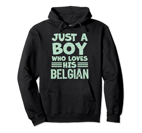 Funny Boy Belgisch, Kinder Sohn Jungen Pullover Hoodie von Just a Boy who loves