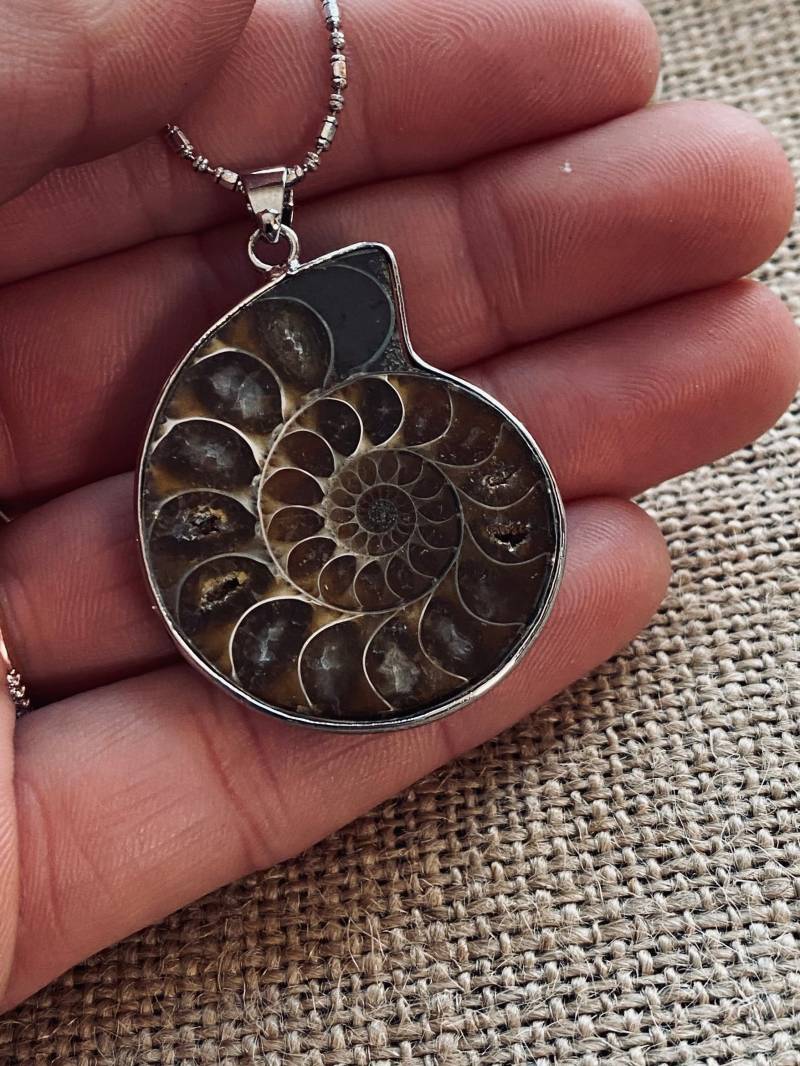 Natürliche Ammonit Fossil Anhänger Sterling Silber Edelstein Halskette von JustBeadItByDrue
