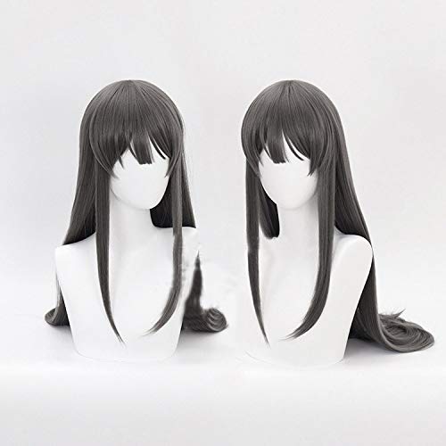 Jwyq Schlingel träumt nicht von Hasenmädchen Senpai Sakurajima Mai Cosplay Perücken Synthetisches Haar Langes glattes graues Haar + freies Haarnetz von Jwyq