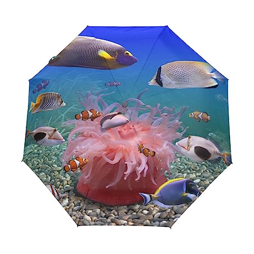 KAAVIYO Fisch Unterwasserwelt Ozean Regenschirm Automatik Auf-Zu Taschenschirm Umbrella Kompakt Schirme für Jungen Mädchen Strand Frauen von KAAVIYO