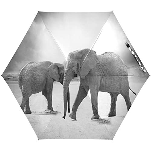 KAAVIYO Wilder Elefant Regenschirm UV-Schutz Taschenschirm Umbrella Klein Leicht Schirm Kompakt Schirme für Mädchen Reise Strand Frauen von KAAVIYO
