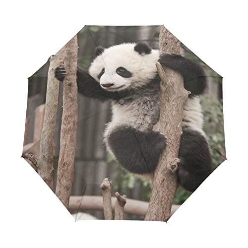 Panda Schwarz Weiß Süß Holz Regenschirm Taschenschirm Auf-Zu Automatik Schirme Winddicht Leicht Kompakt UV-Schutz Reise Schirm für Jungen Mädchen Strand Frauen von KAAVIYO