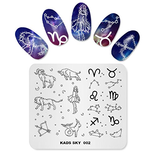 KADS New Nail Stamping Platte Blume Himmel Ozean Chinesischen stil Nail art Stempel Vorlage DIY Bild Vorlage Maniküre Stamp Platte Schablone Werkzeuge (SK002) von KADS