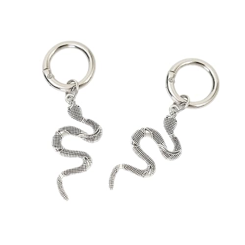 KAHDGSS Tragbares Schuhzubehör Silber Schlangenschuhschuh Hängebedramente Zum Dekorieren Von Schuhen Taschen Und Geldbörsen Stiefelzubehör von KAHDGSS
