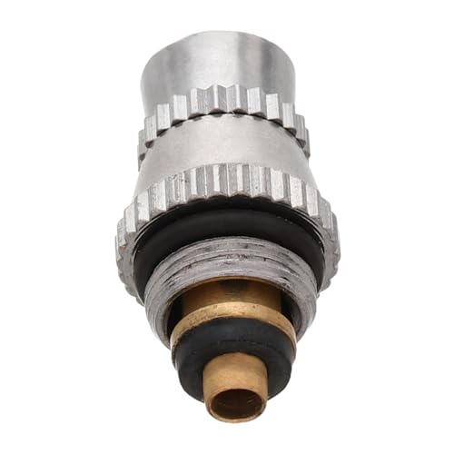 KAILIKETIY Beauty Injektionsmessgerät Gesichtssprüher Für Frauen Sauerstoffdüsen Ersatz Beauty Sprühdüsen Gesichts Sprühdüse Beauty Sprühdüse Für Das von KAILIKETIY