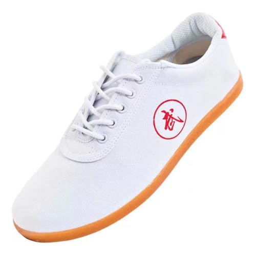 KANLVU Kung Fu Schuhe Für Männer Und Frauen Traditionelle Kampfsportschuhe Mit Rutschfester Sohle Und Atmungsaktivem Material Outdoor Laufschuhe Für Tai Chi Und Sport(Weiß,42 EU) von KANLVU