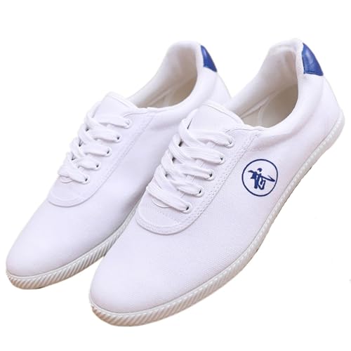 KANLVU Tai Chi Schuhe Für Männer Atmungsaktive Kung Fu Schuhe Frauen Schule Segeltuchschuhe Für Kampfsport Training, Tanz Und Sport(Blau,46 EU) von KANLVU