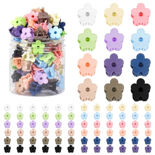 KAOPET 72 kleine Blumen-Haarspangen, 12 Farben, Mini-Blumen-Haarspangen für Kleinkinder, Babys, Mädchen, bezaubernde kleine Haarklammern mit Box KAOPET 72 kleine Blumen-Haarspangen, 12 Farben, Mini-Blumen-Haarspangen für Kleinkinder, Babys, Mädchen, bezaubernde kleine Haarklammern mit Box von KAOPET