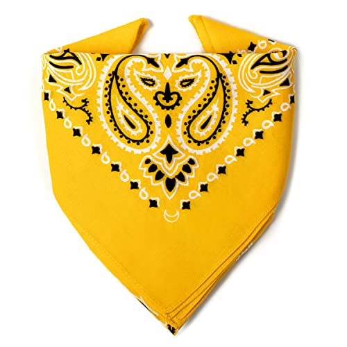 Karl Loven - Mango-Orange Bandana - Paisleymuster - 100% Baumwolle - Dicker Stoff - 20 Exklusivfarben von Karl Loven