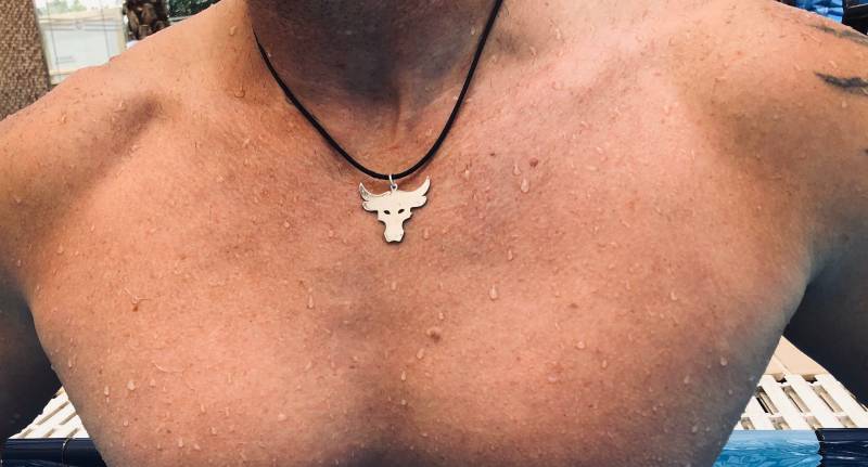 Rock Brahma Bull Head Logo Symbol, Dwayne Johnson Anhänger, The Fans Schmuck, Horoskop Halskette von KARLshopPendants