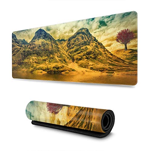 24pcs Quadratische Gefälschte Nägel Drücken Künstlich Mit Farbenfrohen Blumenklesschen Französische Spitzen Falsche Acrylkleber Nagel Für Frauen Klar von KASFDBMO