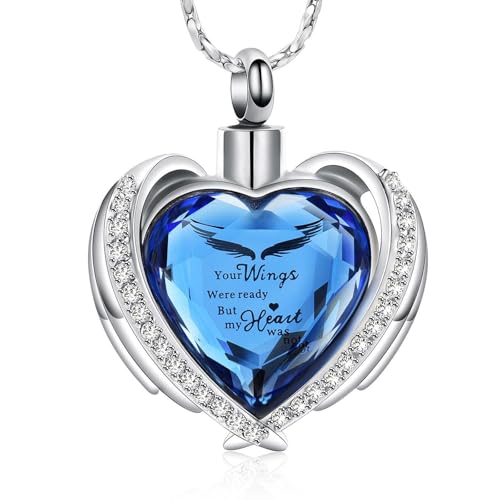 KASFDBMO Openable Stainless Steel Pet Ashes Necklace Stylish Pendant Neck Jewelry Metal Texture Suitable for Various Occasions KASFDBMO Openable Stainless Steel Pet Ashes Necklace Stylish Pendant Neck Jewelry Metal Texture Suitable for Various Occasions von KASFDBMO