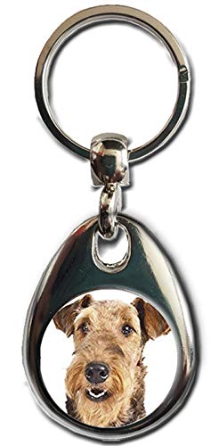 KAZMUGZ AIREDALE TERRIER SCHLÜSSELANHÄNGER Schwerer Qualität Metall Geschenk Schlüsselanhänger Doppelseitiger Schlüsselanhänger Welpe Hund Haustier Geschenk, mehrfarbig, Einheitsgröße KAZMUGZ AIREDALE TERRIER SCHLÜSSELANHÄNGER Schwerer Qualität Metall Geschenk Schlüsselanhänger Doppelseitiger Schlüsselanhänger Welpe Hund Haustier Geschenk, mehrfarbig, Einheitsgröße von KAZMUGZ