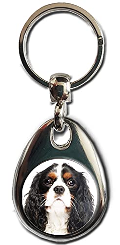 Cavalier King Charles Spaniel, dreifarbiger Schlüsselanhänger für Hunde, hochwertiges Metall, doppelseitiger Schlüsselanhänger, Geschenk für Welpen und Haustiere, mehrfarbig, One size Cavalier King Charles Spaniel, dreifarbiger Schlüsselanhänger für Hunde, hochwertiges Metall, doppelseitiger Schlüsselanhänger, Geschenk für Welpen und Haustiere, mehrfarbig, One size von KAZMUGZ