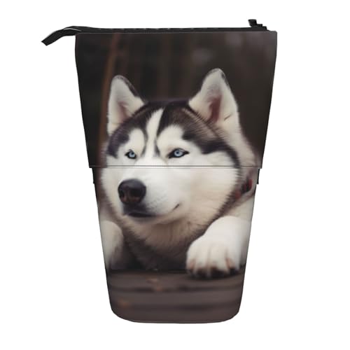 KCGSDEGV Federmäppchen mit niedlichem Husky-Motiv, stehend, erweiterbar, für Schule, Stifte, Make-up und Reisen, für Studenten und Künstler, Schwarz , Einheitsgröße, Schulranzen von KCGSDEGV