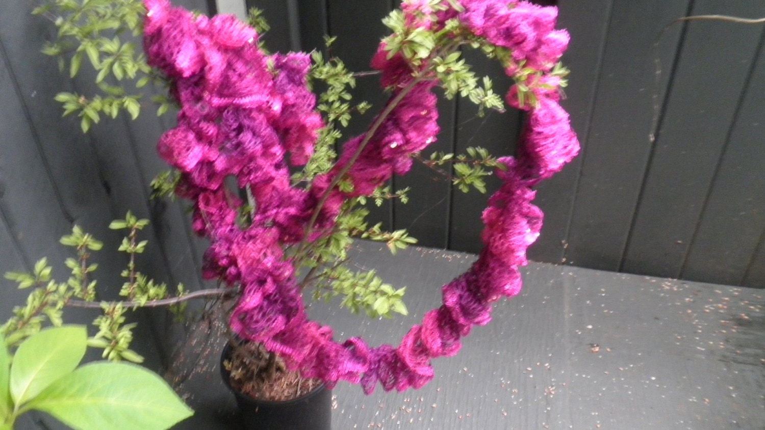 Rüschenschal, Fuchsia, Mit Pailletten. Kostenloser Versand von KCNdesigns