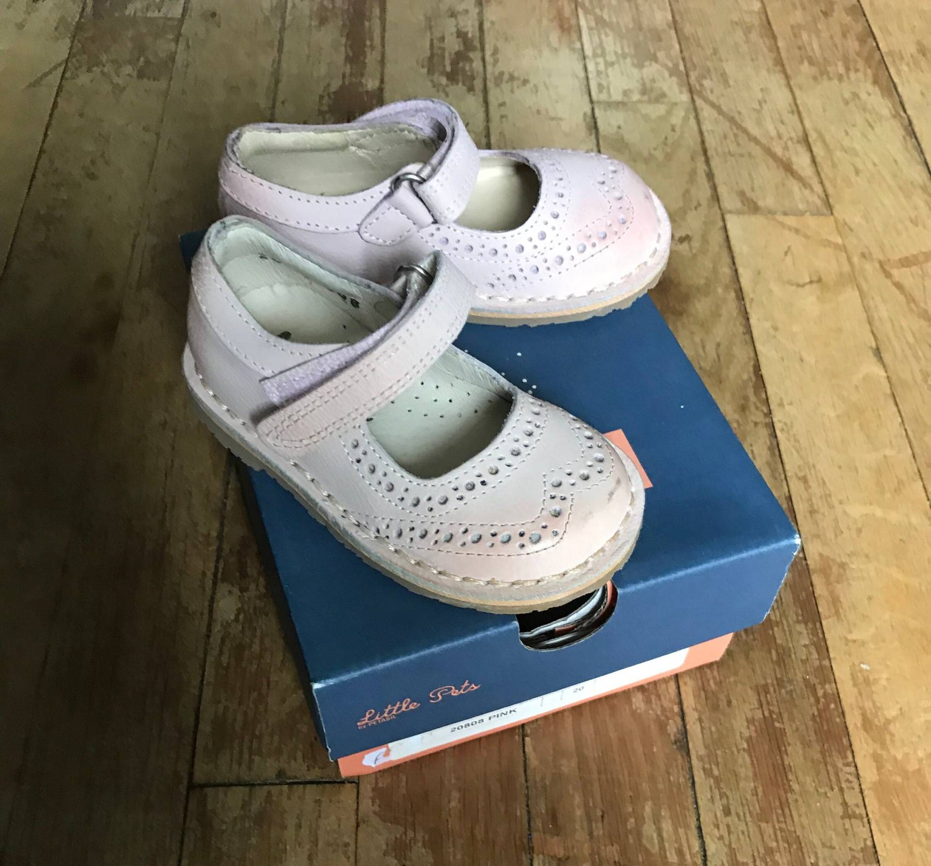 Petasil Rosa Jaret von KDGinger