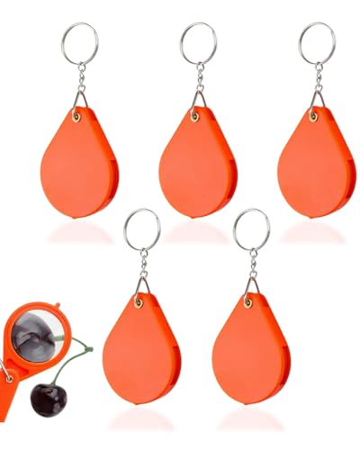 KEMUZ 5 Stück lupe klein Taschenlupe Klappbar,mini lupe, Klappbare Leselupe, Drehbares Design,10 Fache Vergrößerung,Zum Lesen von Kleingedrucktem,zum Studieren von Antiquitäten und Insekten von KEMUZ