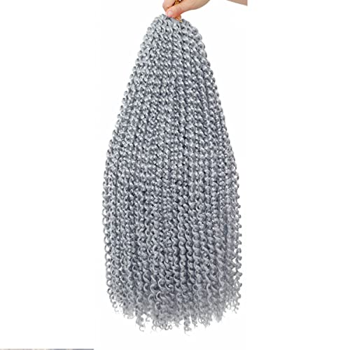 Passion Twist Hair Passion Twist Häkelhaar, Wasserwellen, Häkelhaar für schwarze Frauen, 61 cm, 1 Stück, Grau Passion Twist Hair Passion Twist Häkelhaar, Wasserwellen, Häkelhaar für schwarze Frauen, 61 cm, 1 Stück, Grau von KEPBEAY