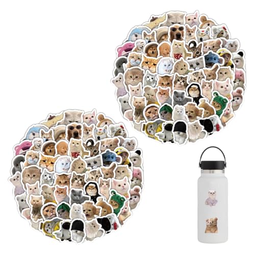 KEQAR 120 Stück Katzen Aufkleber Meme Süße Katzen Wasserdicht PVC Ästhetisch Sticker für Katzenliebhaber Wasserflaschen Koffer Notebook Telefon (Lustiges Katzenform) von KEQAR