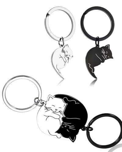 KGDUYC 2 Stück Cat Pals Keychain, Schwarz und Weiß Katze Paar Schlüsselanhänger, Edelstahl Katze Paar Schlüsselanhänger bester Freund Geschenk Valen-tinstag Ges-chenk von KGDUYC