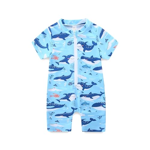 KIDDLETOWN Badeanzug Jungen Baby Bademode Schwimmanzug Jungen Einteiler Kurzarm Bademode Badebekleidung Sommerkleidung Kinder Junge Badeanzüge 6 Monate-3 Jahre von KIDDLETOWN