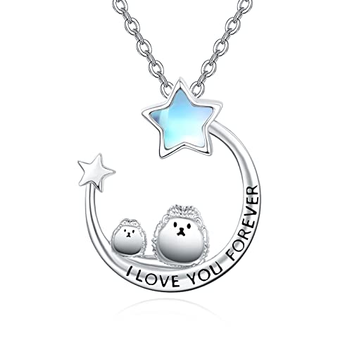 KINGWHYTE Igel Halskette Damen 925 Sterling Silber, Niedliche Tiere Anhänger Kette mit Regenbogen Mondstein Stern Mond, I LOVE YOU FOREVER Schmuck Geschenke für Valentinstag Muttertag von KINGWHYTE