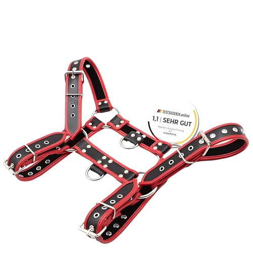 KINKWERK Harness für Herren in individuell Anpassbarer Größe | Strapazierfähiges PU-Leder & Metall | D-Ringe & O-Ringe | Perfekt für Club-Nächte von KINKWERK
