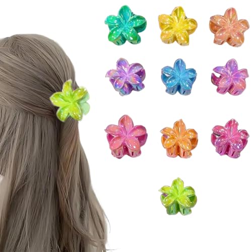 KIRZAX 10 Stück Blumen Haarspangen,Rutschfeste Hawaii Haarspange für Frauen,2.5cm Flower Hair Clip Bunt,Haarspiralen Clip, Dekorative Haarschmuck,Hibiskus Klammer für Mädchen Dick/Dünn Haar KIRZAX 10 Stück Blumen Haarspangen,Rutschfeste Hawaii Haarspange für Frauen,2.5cm Flower Hair Clip Bunt,Haarspiralen Clip, Dekorative Haarschmuck,Hibiskus Klammer für Mädchen Dick/Dünn Haar von KIRZAX