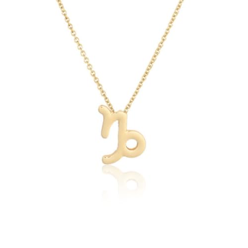 KIXZSAZ Ins Zwölf Sternzeichen Zodiac Halskette Ins kreative Schmuckkette Charm DIY Persönlichkeit Anhänger Mode Accessoire, Steinbock-Gold von KIXZSAZ