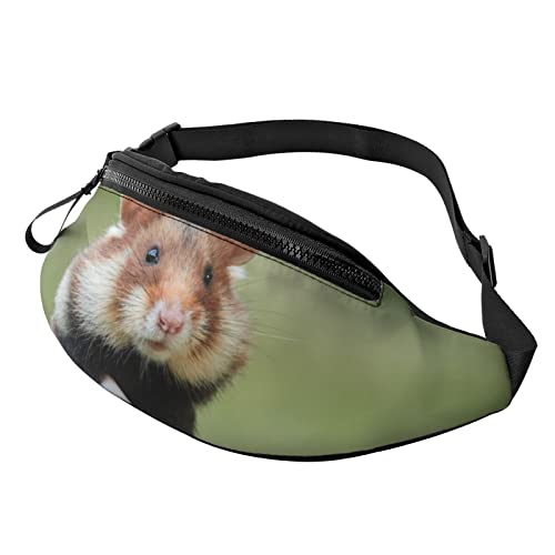Bauchtasche mit Hamstermotiv auf Gras, verstellbare Hüfttasche für Männer und Frauen, Schwarz , Einheitsgröße, Hüfttaschen von KKKKKOUU