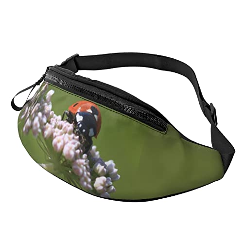 Ladybug Bauchtasche mit Marienkäfer-Motiv, Hüfttasche für Damen und Herren, Outdoor, Laufen, Wandern, Ladybug 07Ladybug 07, Einheitsgröße, Hüfttaschen von KKKKKOUU