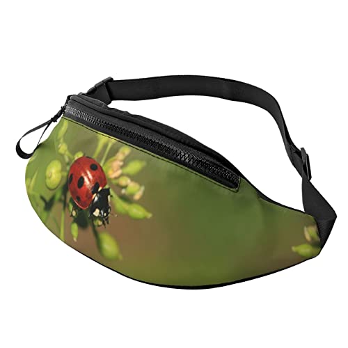 Ladybug Bauchtasche mit Marienkäfer-Motiv, Hüfttasche für Damen und Herren, Outdoor, Laufen, Wandern, Ladybug 08Ladybug 08, Einheitsgröße, Hüfttaschen von KKKKKOUU