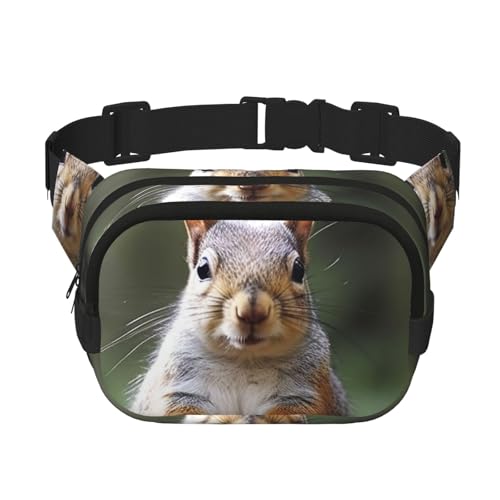 Bauchtasche, Eichhörnchen, klein, modisch, Crossbody, leicht, für Damen und Herren, Laufen, Workout, Wandern, Reisen Bauchtasche, Eichhörnchen, klein, modisch, Crossbody, leicht, für Damen und Herren, Laufen, Workout, Wandern, Reisen von KKLWEGU
